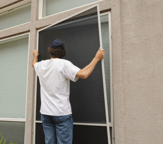 DIY Window Screens Installation