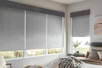 roller shades for windows