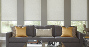 Does Every Room Really Need a Different Roller Shade?